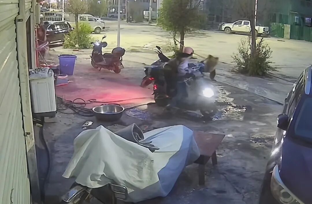 西藏一对母子骑电动车被藏马熊追赶,孩子尖叫引出附近居民帮忙驱赶 当地回应:经过核实人都没事 西藏一对母子骑电动车被藏马熊追赶,孩子尖叫引出附近居民帮忙驱赶 当地回应:经过核实人都没事
