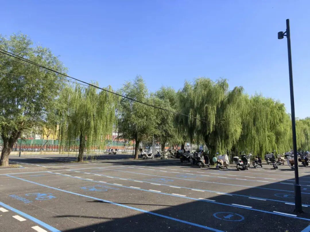 从“扎堆占道”到“对色入位”,北京这个交通枢纽非机动车停放清爽升级 从“扎堆占道”到“对色入位”,北京这个交通枢纽非机动车停放清爽升级