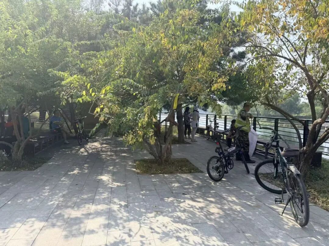 北京新添骑行水岸!城区最长滨水绿道年底贯通 北京新添骑行水岸!城区最长滨水绿道年底贯通