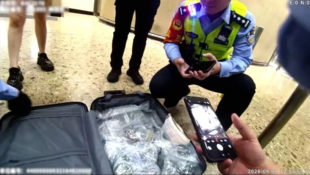 出境被海关拦截,竟因行李箱中有价值百万元的玉石!她才发现在高铁上错拿了别人的行李箱 出境被海关拦截,竟因行李箱中有价值百万元的玉石!她才发现在高铁上错拿了别人的行李箱