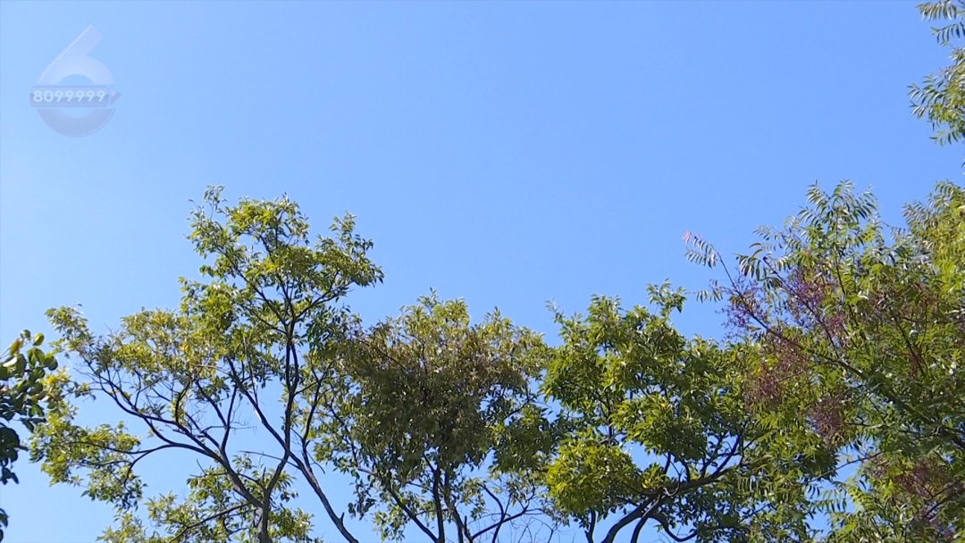 云南部分地区仍处“夏季”?多地中秋假期阴雨“加班”,昆明能赏月吗? 云南部分地区仍处“夏季”?多地中秋假期阴雨“加班”,昆明能赏月吗?
