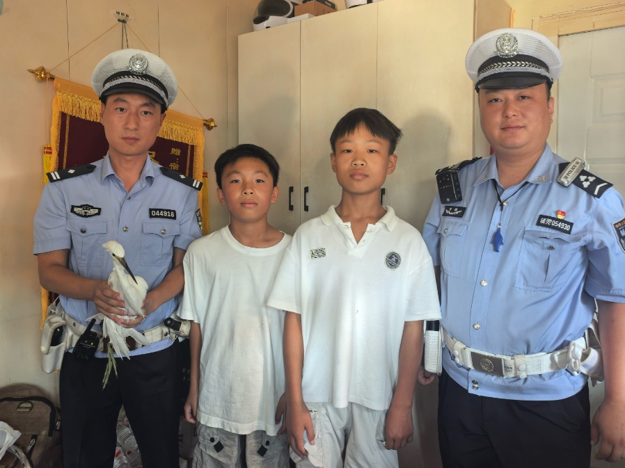白鹭受伤,少年援手!交警上门送奖表扬 白鹭受伤,少年援手!交警上门送奖表扬