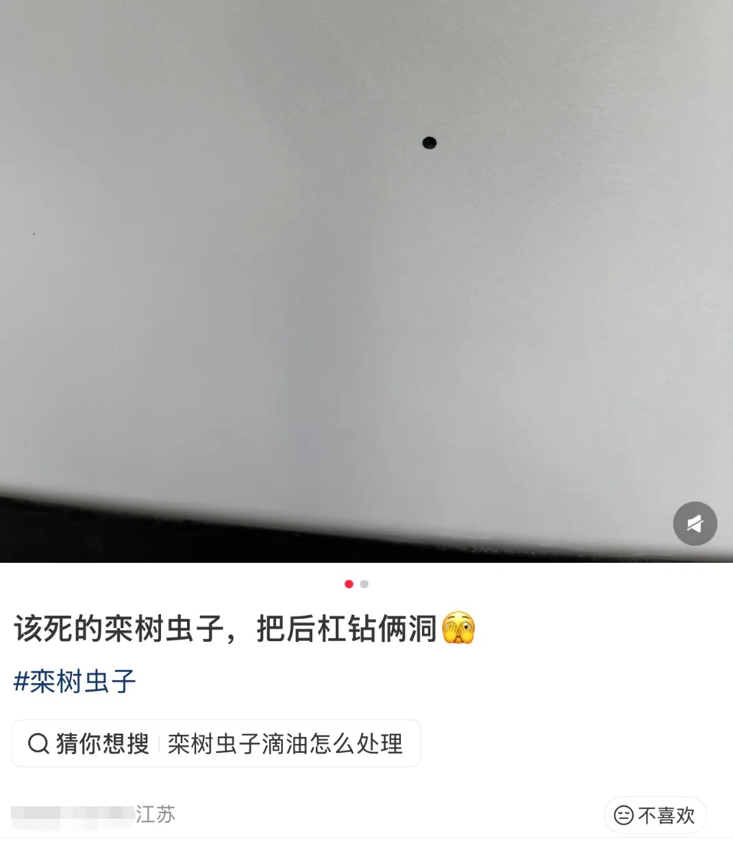 车上莫名其妙出现小圆洞,浙江多位车主中招!提醒:车子别长时间停在这 车上莫名其妙出现小圆洞,浙江多位车主中招!提醒:车子别长时间停在这