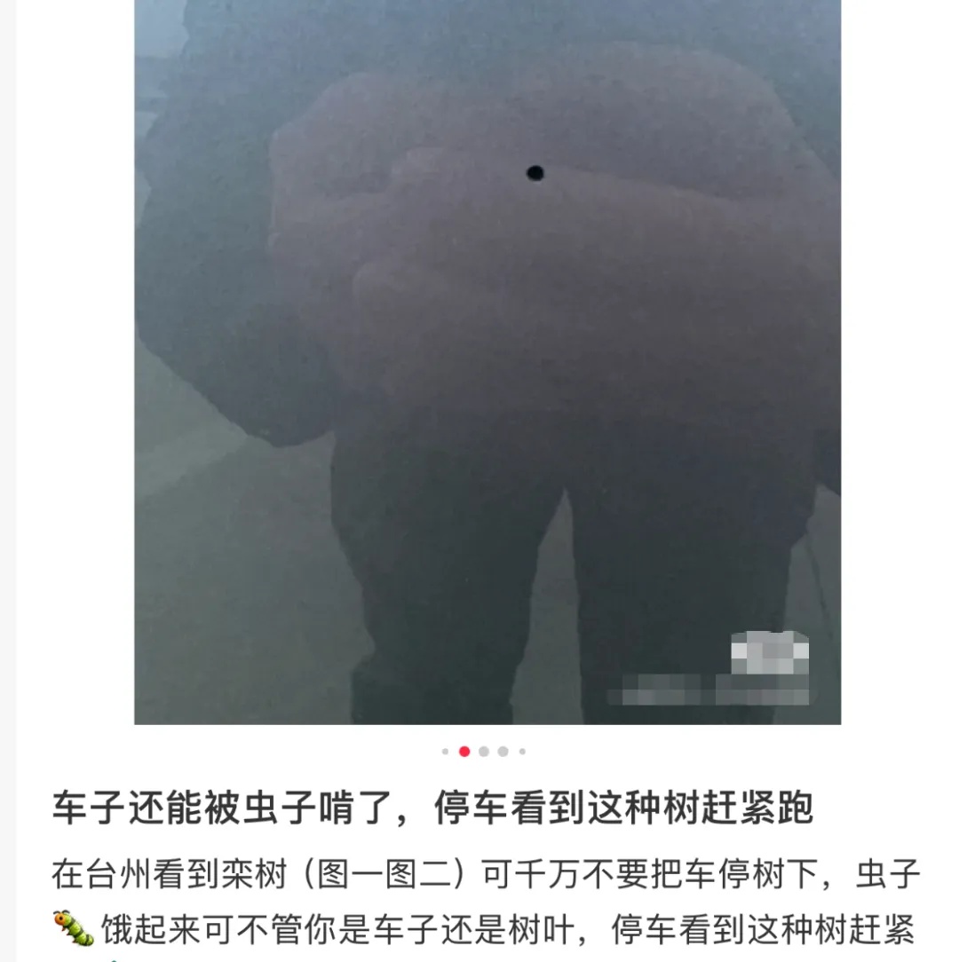 车上莫名其妙出现小圆洞,浙江多位车主中招!提醒:车子别长时间停在这 车上莫名其妙出现小圆洞,浙江多位车主中招!提醒:车子别长时间停在这