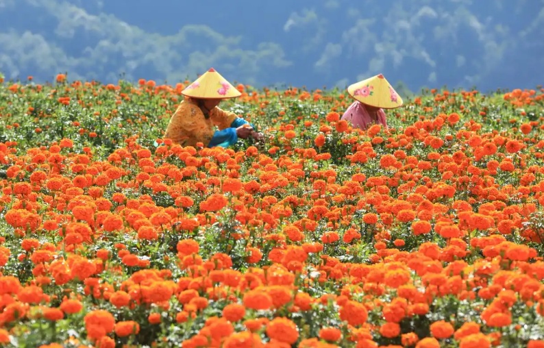 广州今迎出城高峰！中秋假期天气如何？十大热门出游地晴雨表请查收