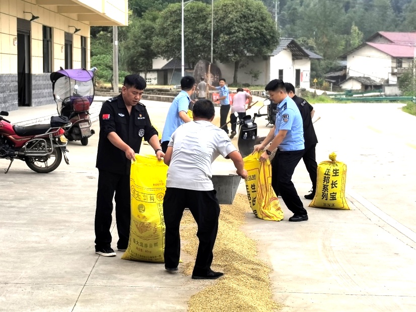 江西路边上演暖心一幕:大雨将至,村民心急如焚抢收稻谷,民辅警立即下车帮忙 江西路边上演暖心一幕:大雨将至,村民心急如焚抢收稻谷,民辅警立即下车帮忙