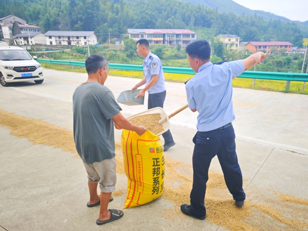 江西路边上演暖心一幕:大雨将至,村民心急如焚抢收稻谷,民辅警立即下车帮忙 江西路边上演暖心一幕:大雨将至,村民心急如焚抢收稻谷,民辅警立即下车帮忙
