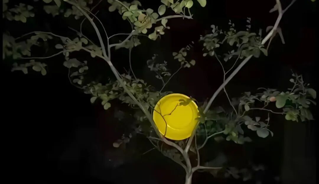还能这么拍？今晚第一批中秋月亮已出片！评论区等你PK