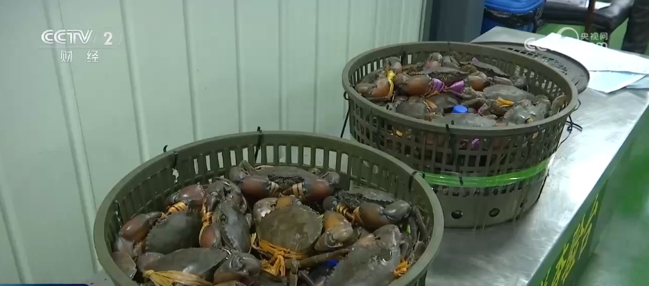 假期看外贸：全球好物丰富节日餐桌 假日消费活力持续释放