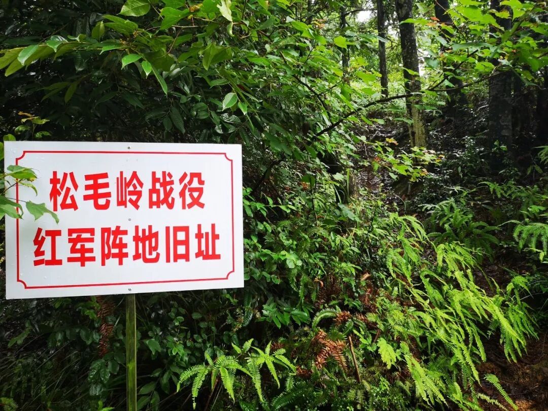 为啥这个村子偏偏八月十四过中秋?背后故事看哭了 为啥这个村子偏偏八月十四过中秋?背后故事看哭了