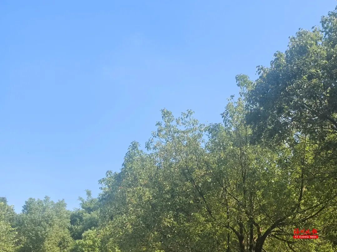 路径变了！台风“舒力基”将大拐弯！“秋老虎”盘踞，福州最高温将达38℃