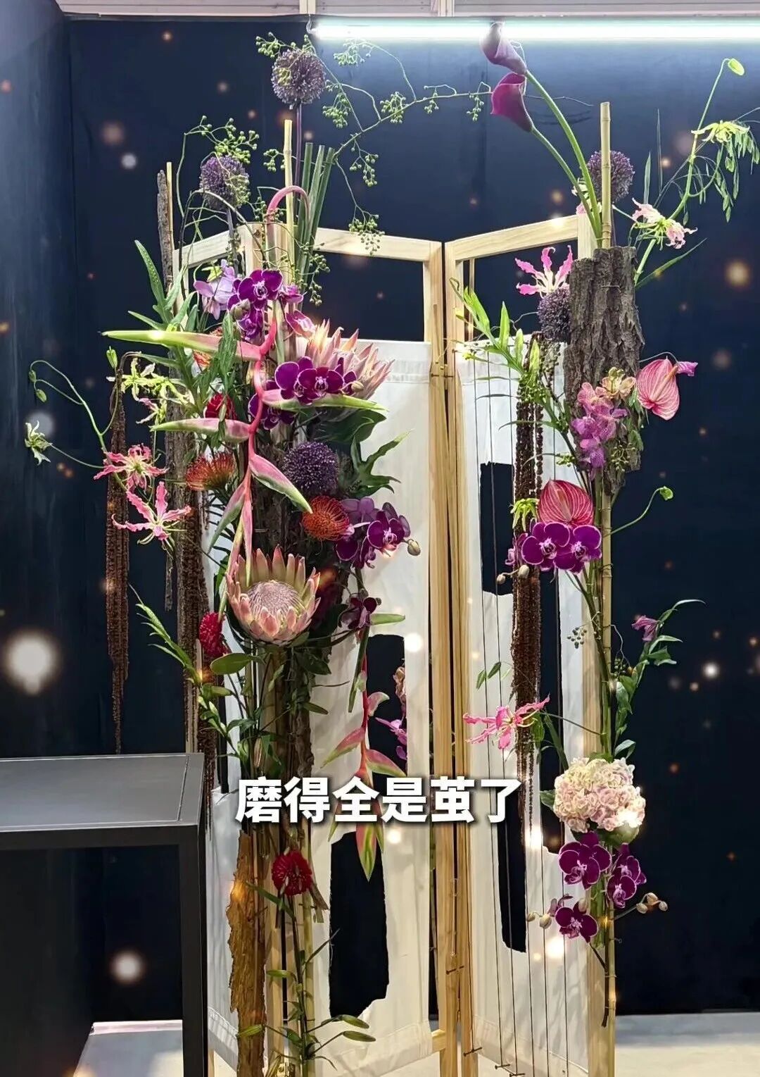 又美又飒!港澳女孩在世界舞台绽放光芒 又美又飒!港澳女孩在世界舞台绽放光芒