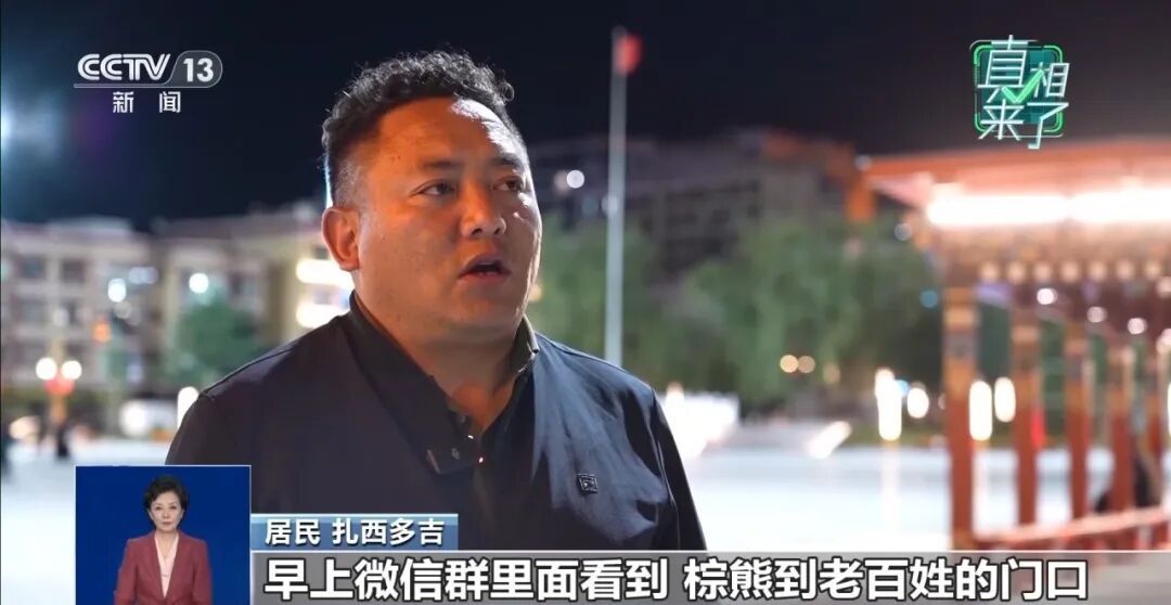 街头惊现棕熊引全城恐慌?四川网传图片实为AI合成,两名造谣人员已经被处罚 街头惊现棕熊引全城恐慌?四川网传图片实为AI合成,两名造谣人员已经被处罚