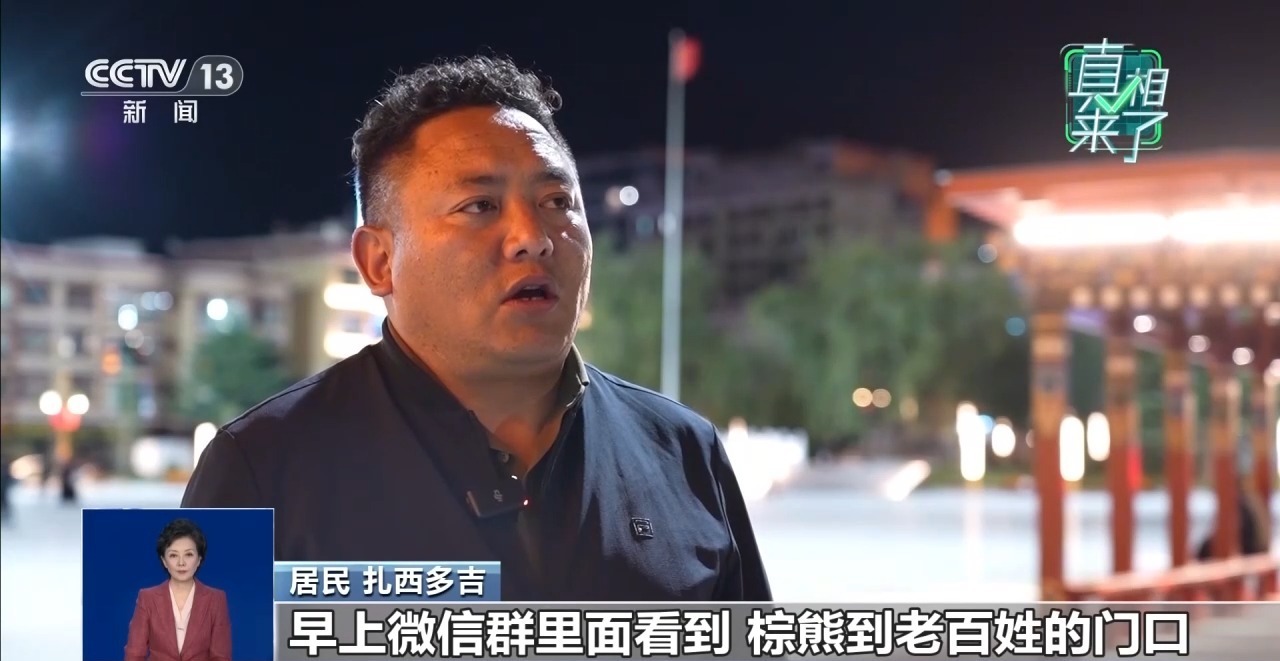四川道孚“棕熊现身街头”图片系AI合成 两人被处罚 四川道孚“棕熊现身街头”图片系AI合成 两人被处罚