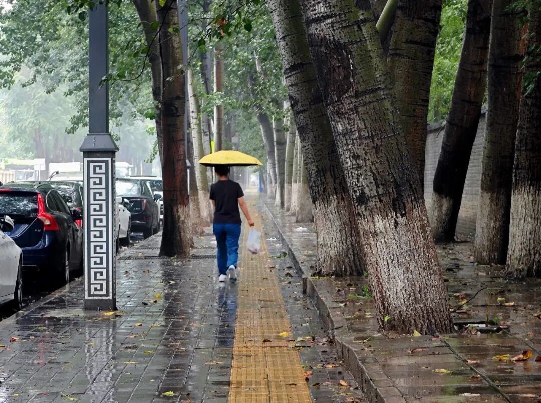 多省份大暴雨、10级以上雷暴大风！假期出行，紧急提醒→