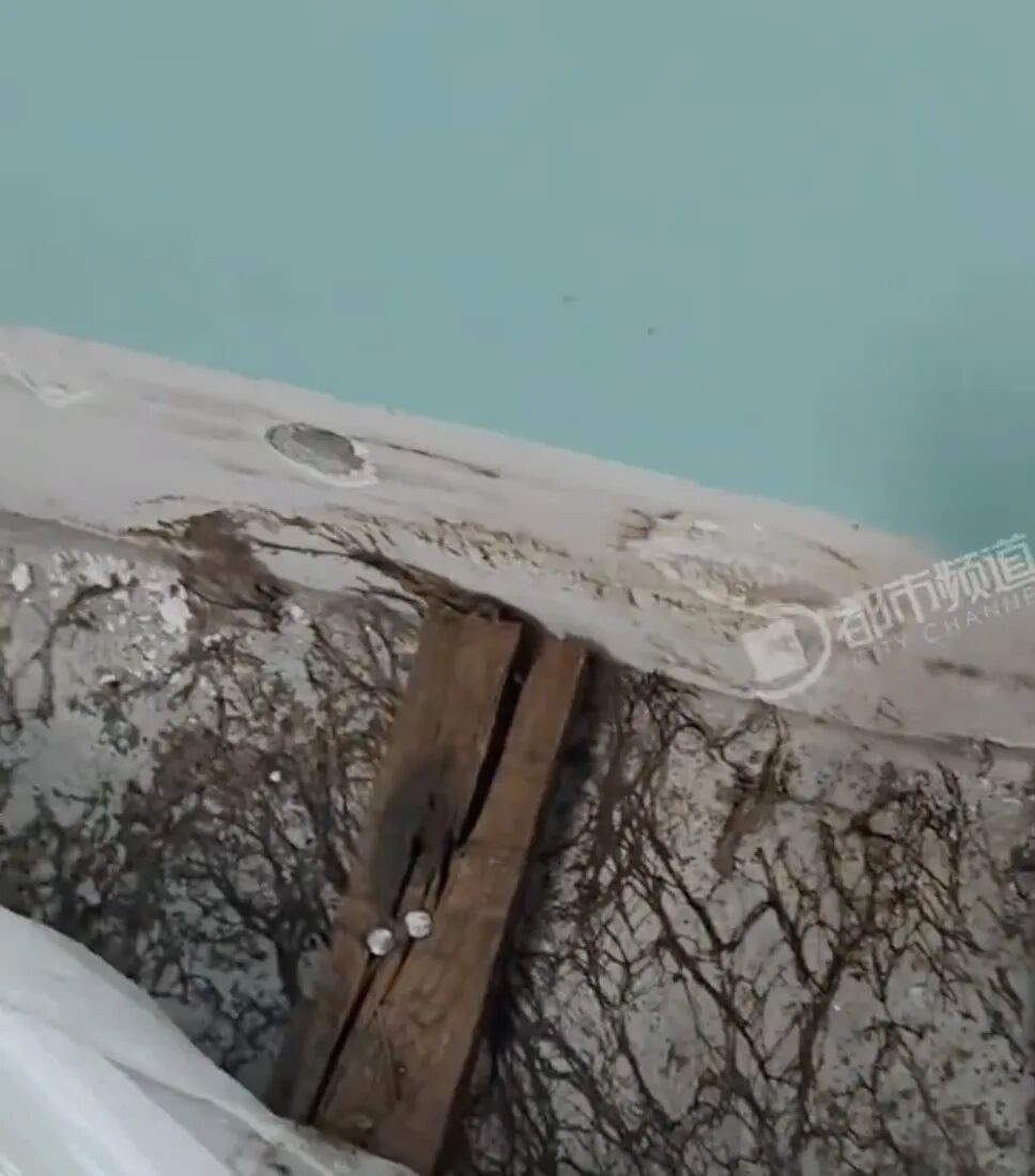 反复咳嗽鼻炎长久不见好转，江苏女子掀开木地板大吃一惊，网状霉菌铺满房间暗藏隐患