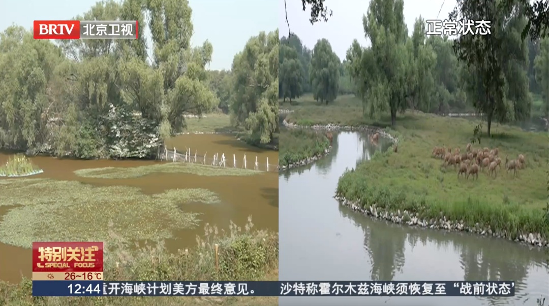 北京一湖面变红引猜测——“是污染吗？”