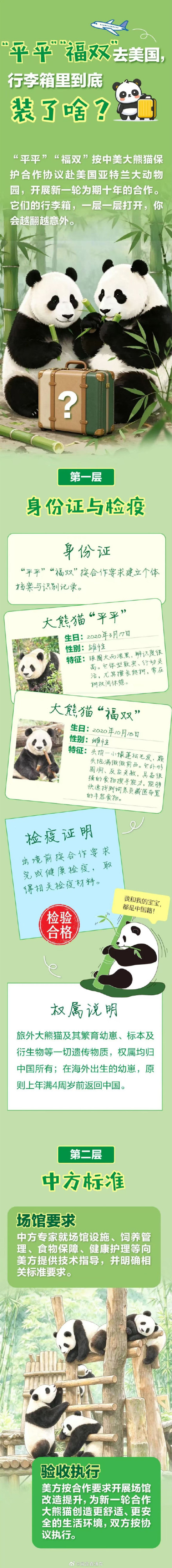 大熊猫平平福双赴美行李箱里都有啥