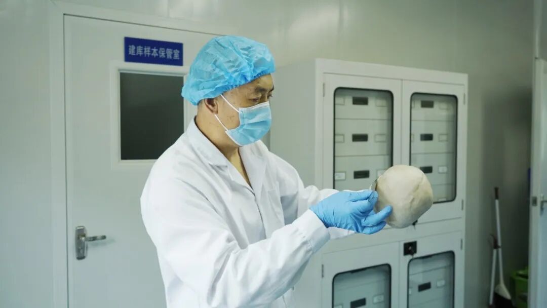 这位公安部专家,靠一小块猪皮找到真凶! 这位公安部专家,靠一小块猪皮找到真凶!