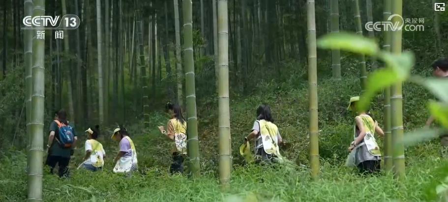 老手艺焕新生 新场景引客来 传统民俗催生消费新增长点 老手艺焕新生 新场景引客来 传统民俗催生消费新增长点