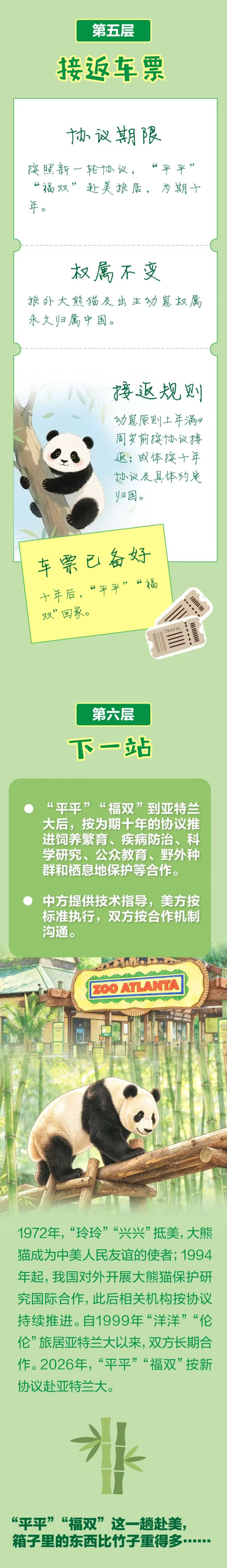 大熊猫“平平”“福双”去美国，行李箱大公开