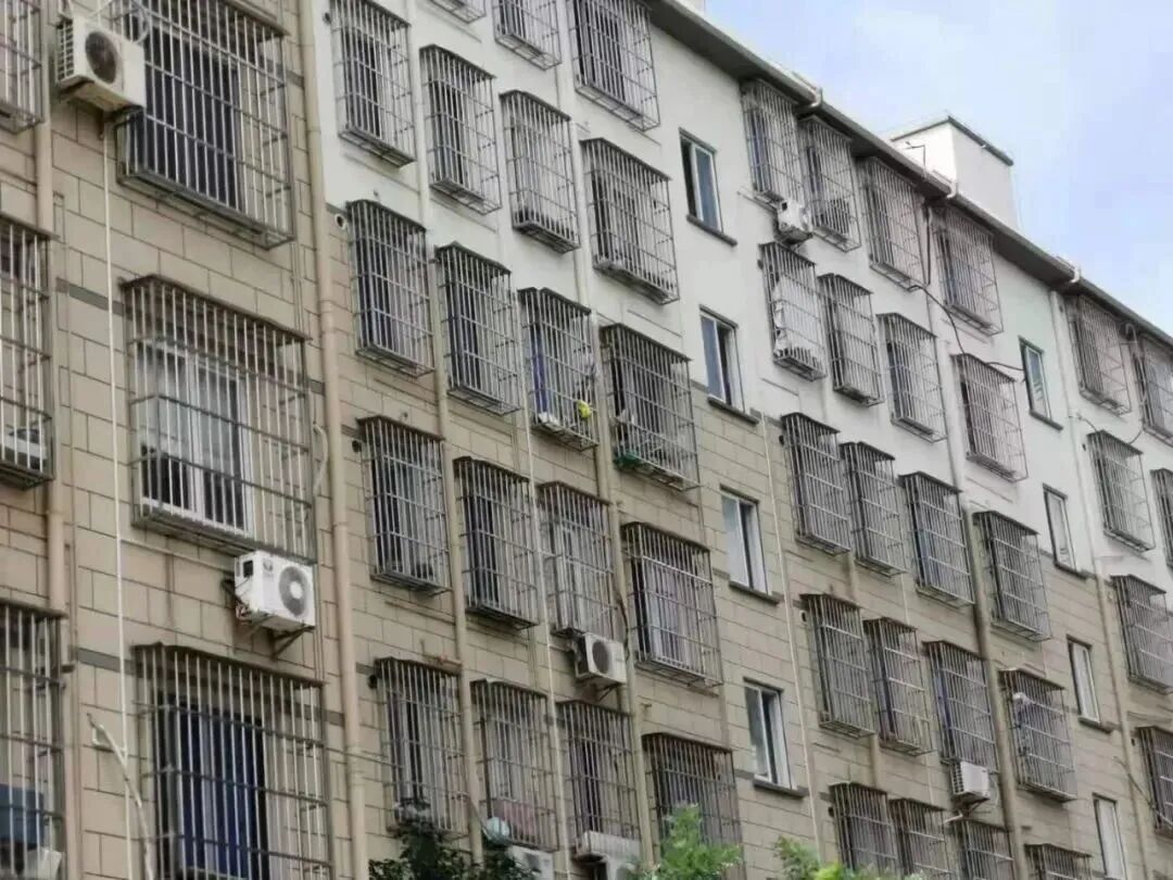 这扇窗关乎生死,请“网开一面”! 这扇窗关乎生死,请“网开一面”!