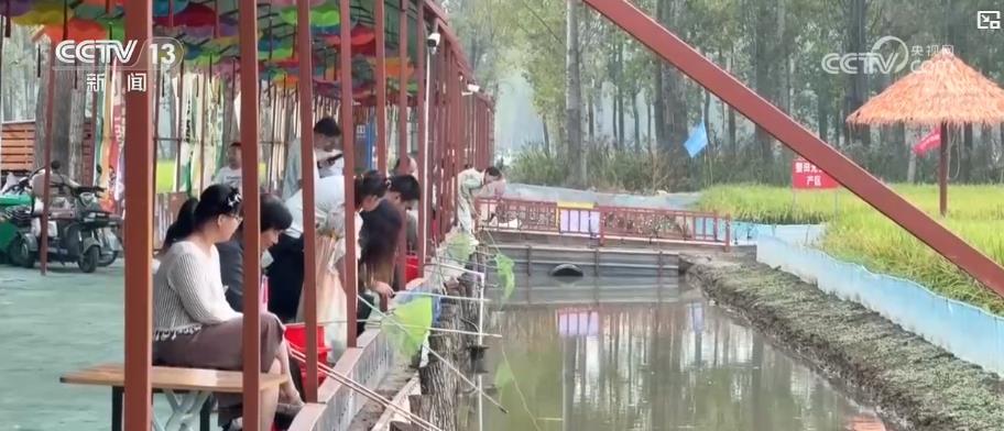 田园体验带旺乡村假日游 农旅融合绘就丰收富民图景 田园体验带旺乡村假日游 农旅融合绘就丰收富民图景