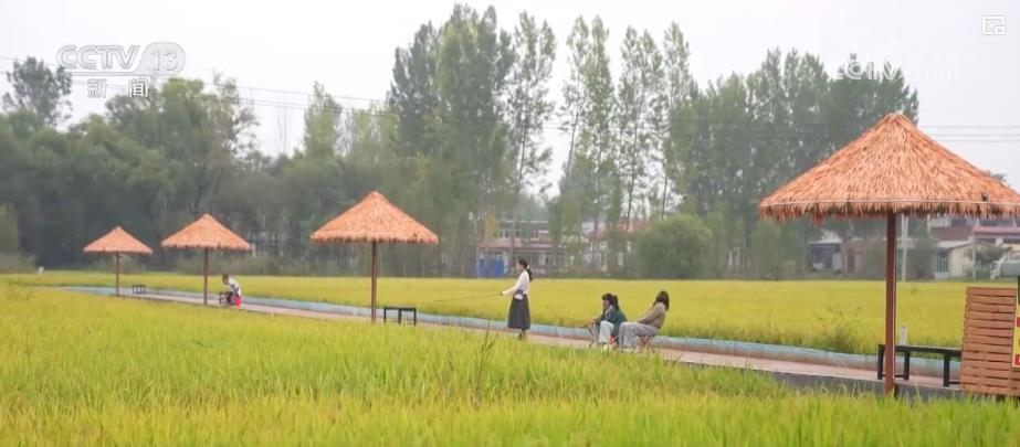 田园体验带旺乡村假日游 农旅融合绘就丰收富民图景 田园体验带旺乡村假日游 农旅融合绘就丰收富民图景