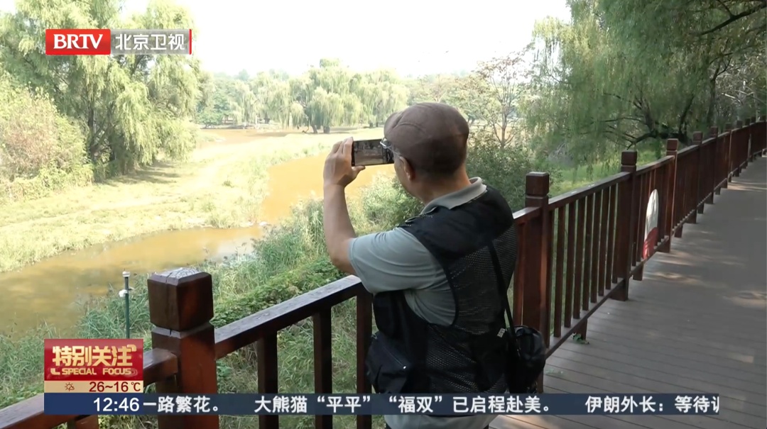 北京一湖面变红引猜测——“是污染吗？”