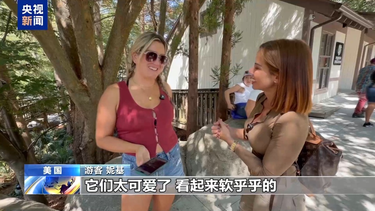 美民众热烈期盼大熊猫重返亚特兰大 美民众热烈期盼大熊猫重返亚特兰大