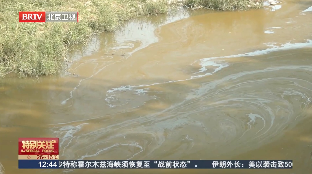 北京一湖面变红引猜测——“是污染吗？”