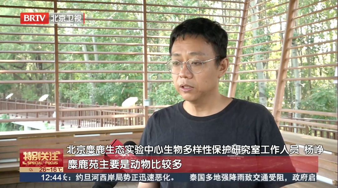 北京一湖面变红引猜测——“是污染吗？”
