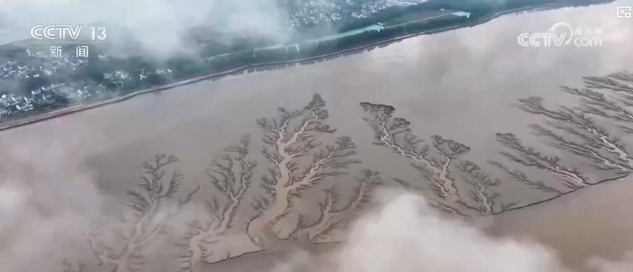 潮汐树 “穿” 上身!老产业赶新 “潮” 解锁文旅融合新场景 潮汐树 “穿” 上身!老产业赶新 “潮” 解锁文旅融合新场景