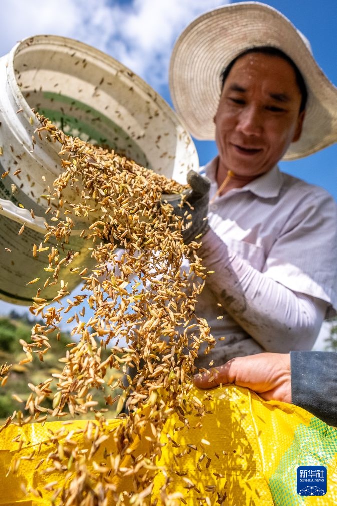 图片故事丨千年梯田 生生不息