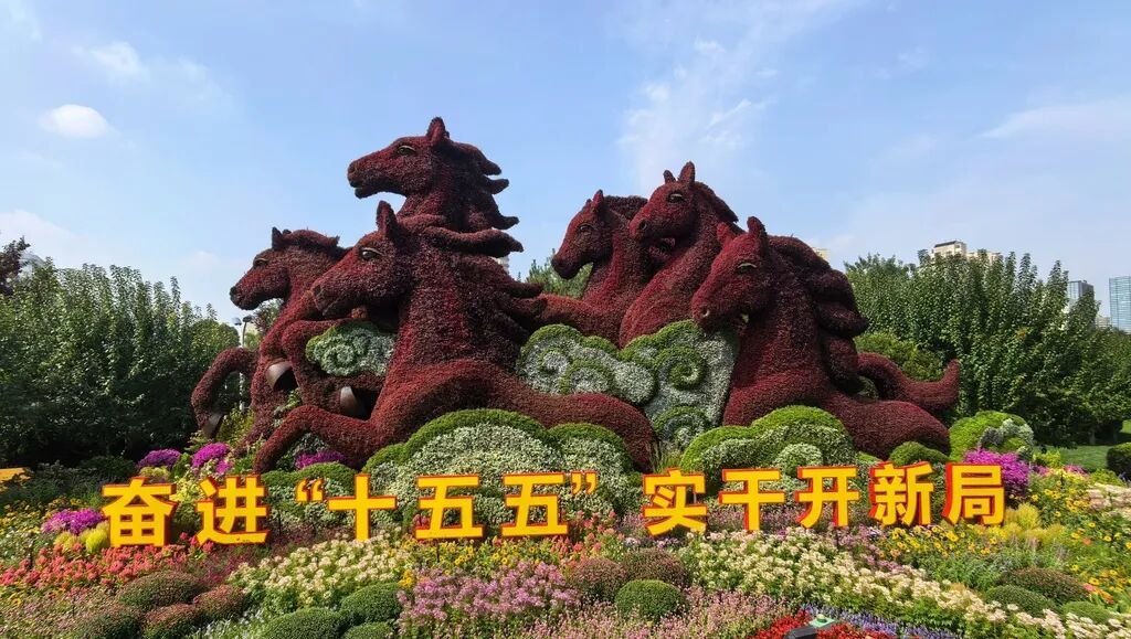 国庆大花篮，也太好看了！