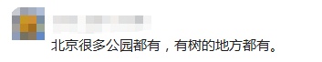 市民：走树下都往身上掉……今日，北京释放“天敌”4亿头，专治毛毛虫！