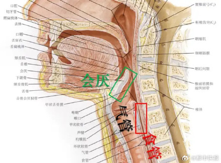 男子喝了几口隔夜鱼汤差点窒息