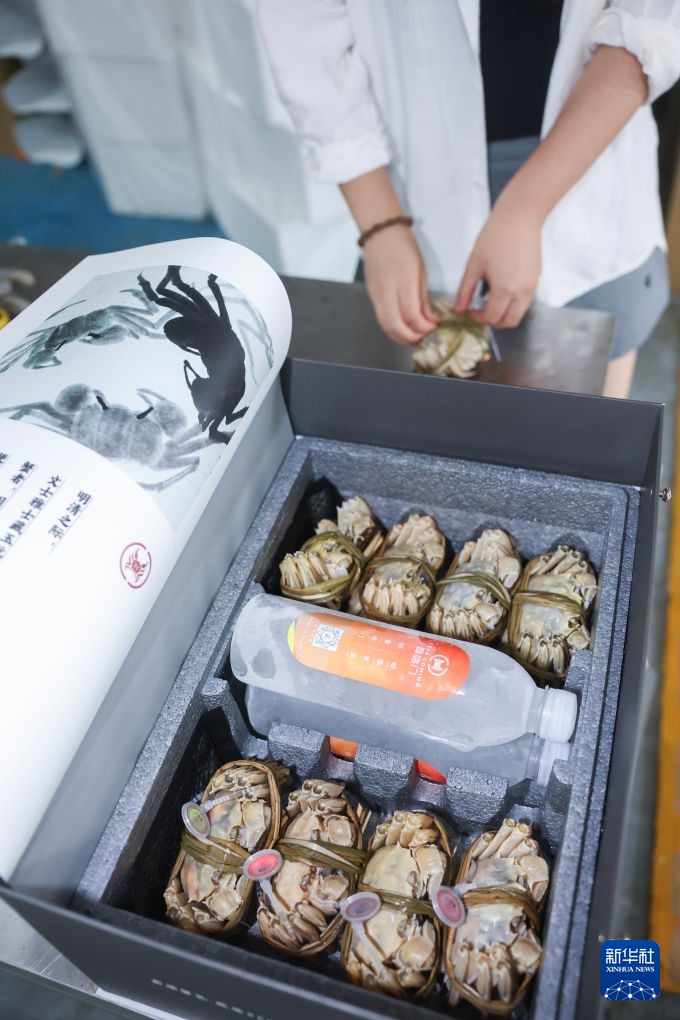 浙江湖州：太湖蟹迎来丰收季