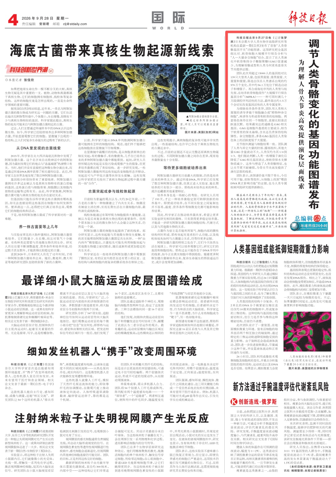 膝盖痛只是因为上了年纪？更可能源于人类演化上的“权衡”