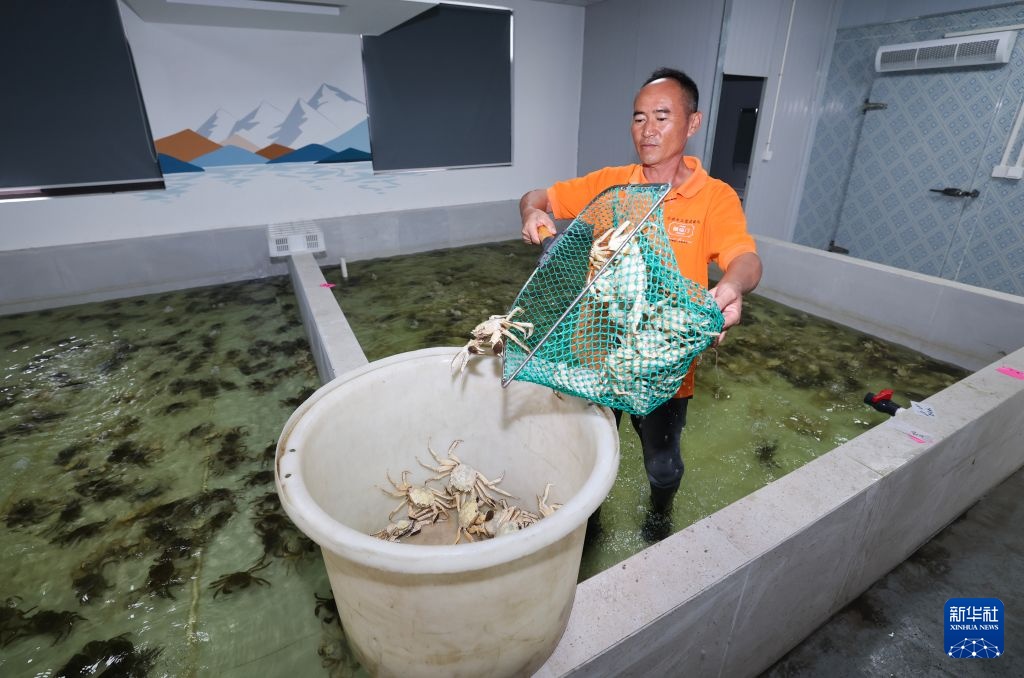 浙江湖州：太湖蟹迎来丰收季