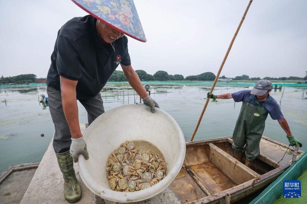 浙江湖州：太湖蟹迎来丰收季