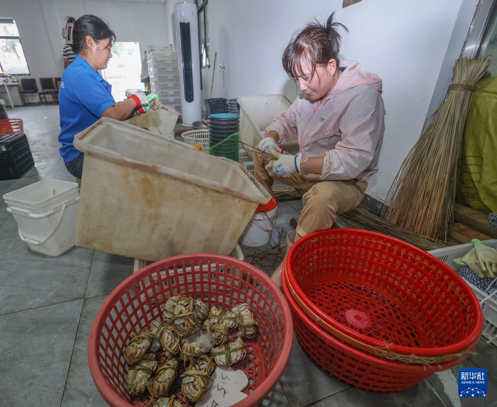 浙江湖州：太湖蟹迎来丰收季
