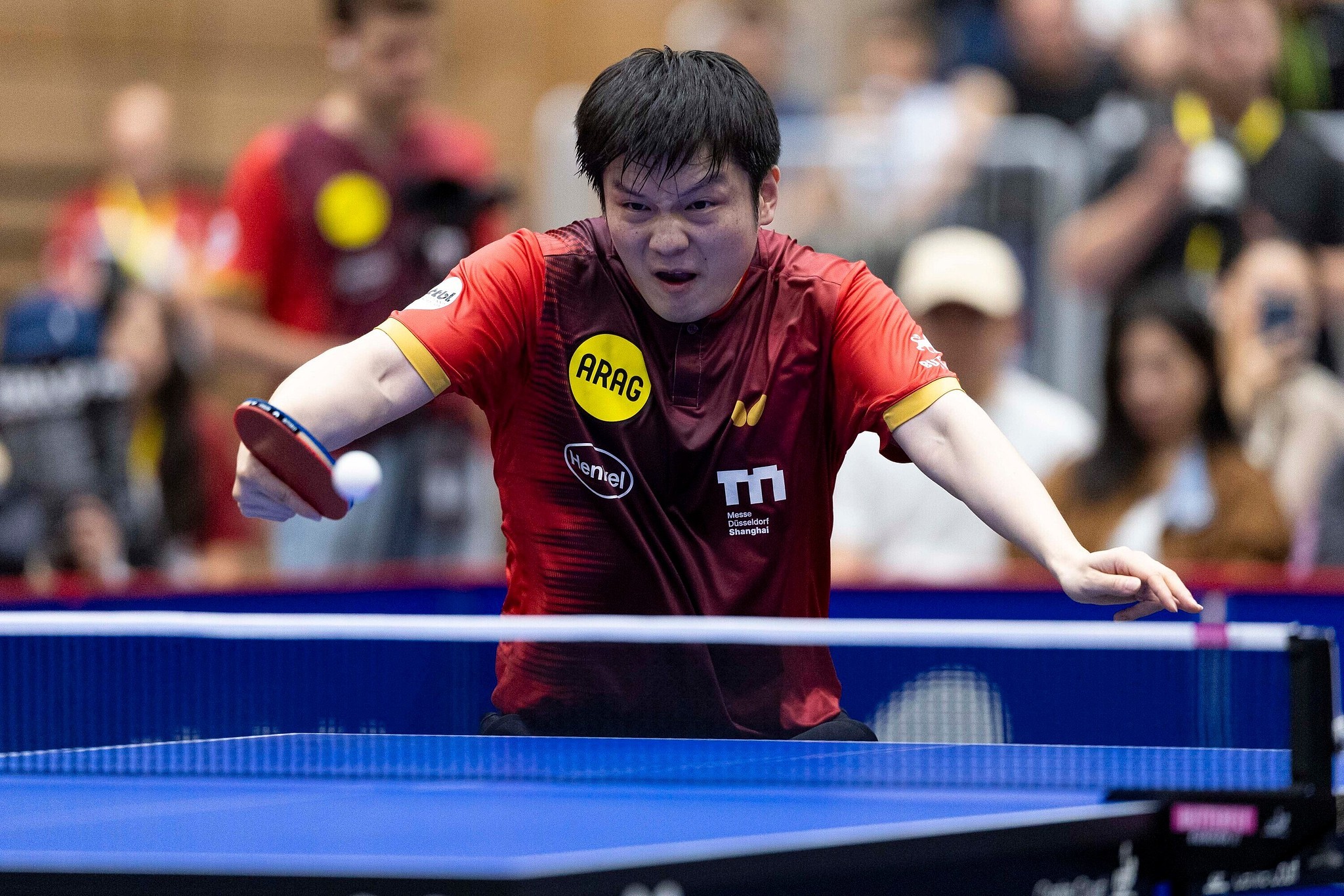 樊振东斩获两分 杜塞尔多夫乒乓球德甲六连胜
