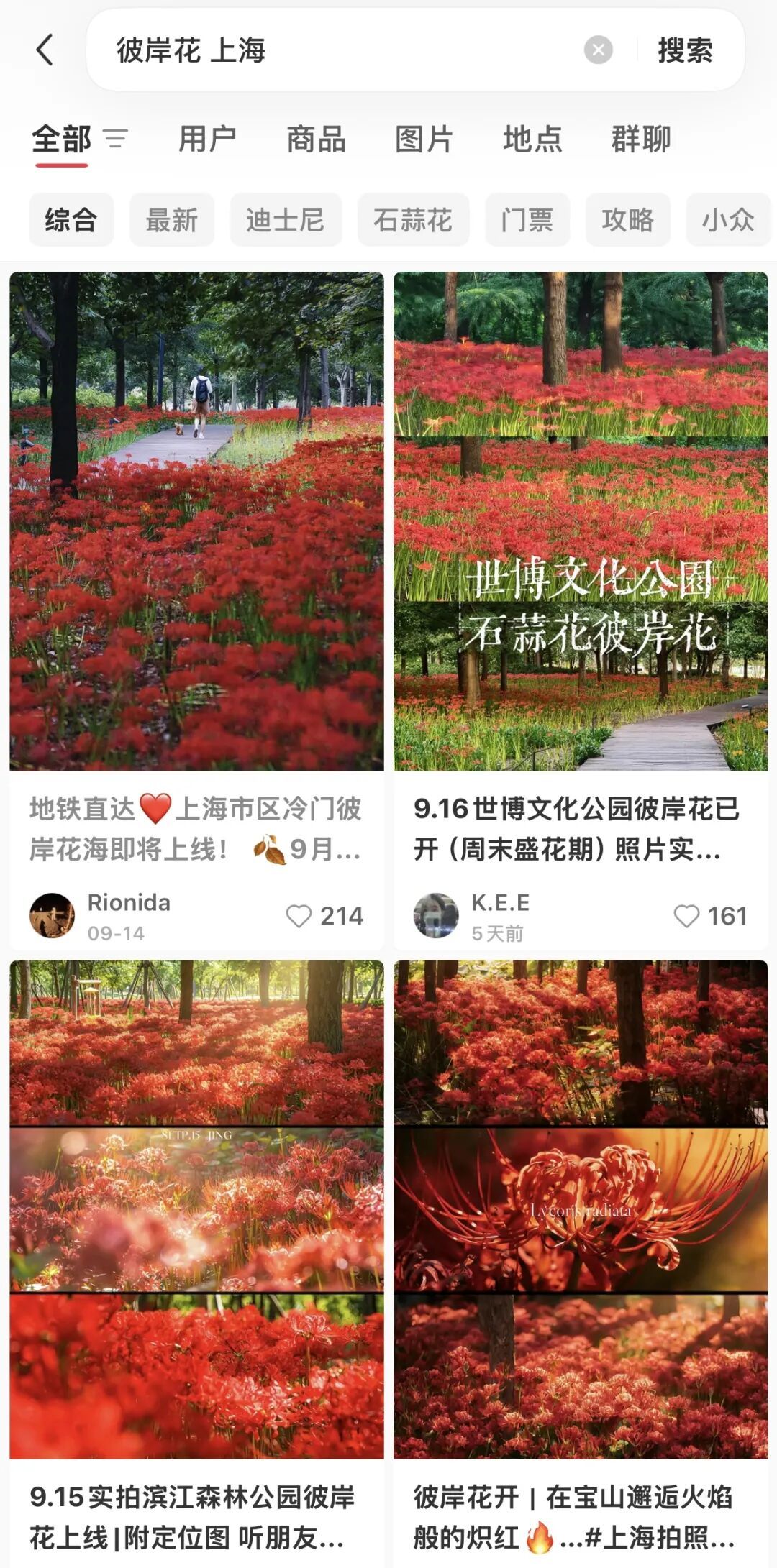 上海即将大降温,最低降到1字头!花中“顶流”进入盛开期,很美但别碰,有毒→ 上海即将大降温,最低降到1字头!花中“顶流”进入盛开期,很美但别碰,有毒→