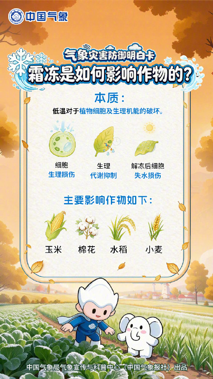 降温了！初霜冻防御指南请查收