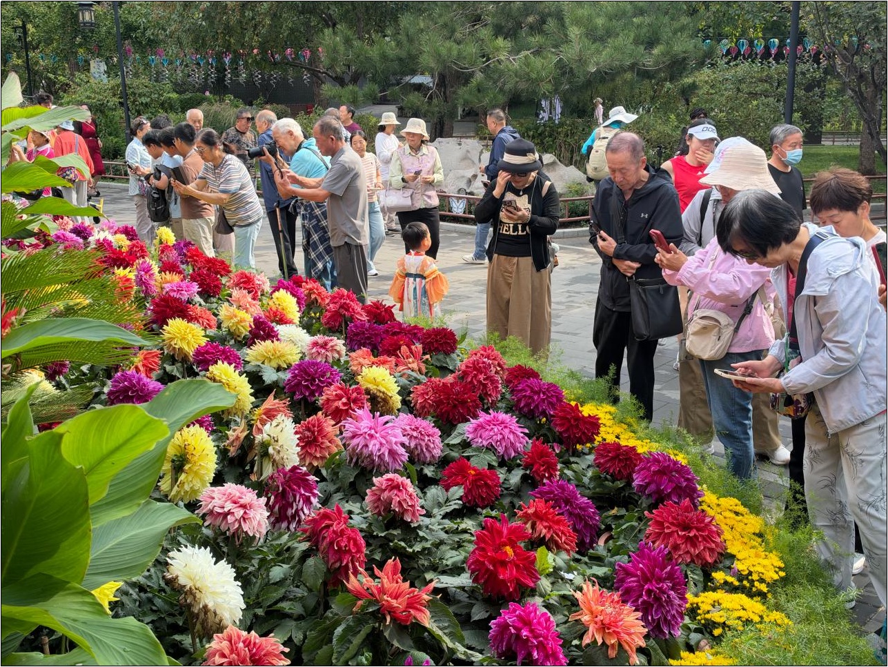 北京市中秋假期公园纳客493.91万人次 超300项特色活动为双节添彩