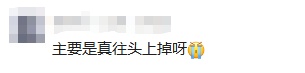 市民：走树下都往身上掉……今日，北京释放“天敌”4亿头，专治毛毛虫！
