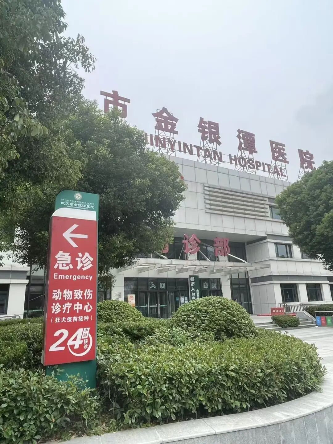 男子被自家宠物狗咬伤三次！医生：狂犬病致死率几乎100%，“十日观察法”很多人做错