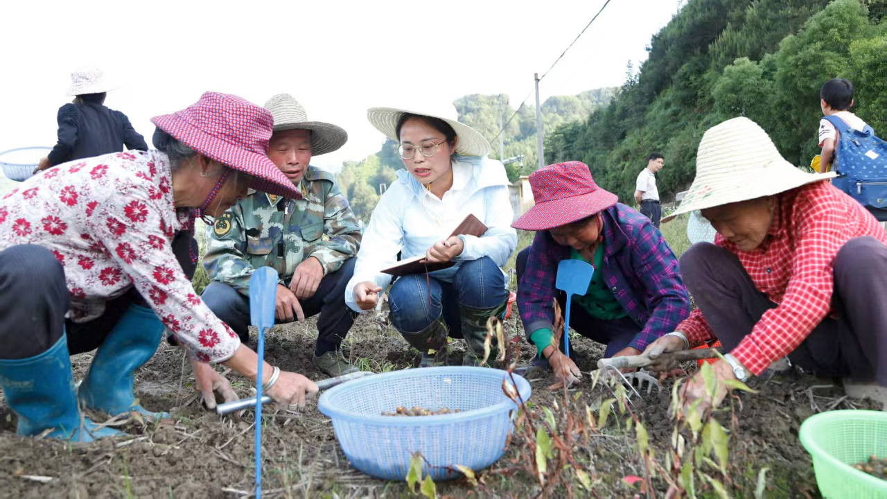 从“一号科特派”到省级工作室 科技下乡的路越走越宽
