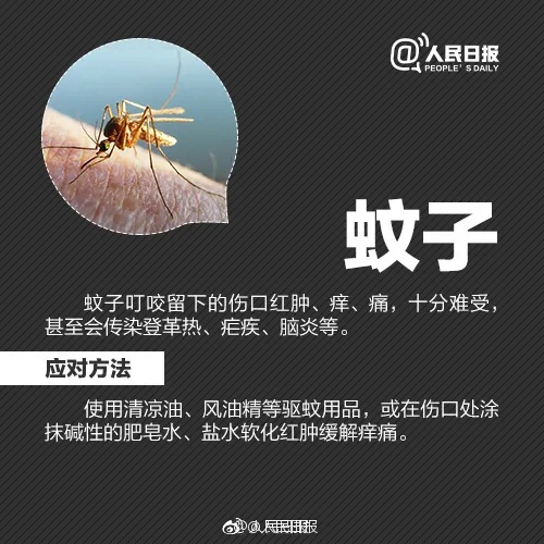 千万别碰！昆明已有人中招，专家提醒……